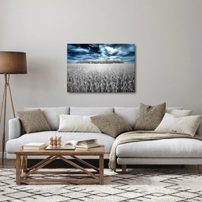 Obraz pola (70x50 cm)