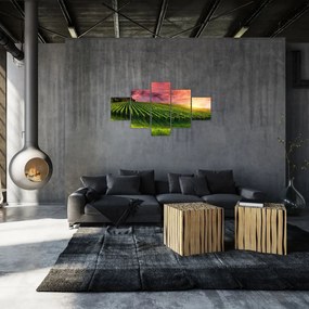 Obraz winnicy z kolorowym niebem (125x70 cm)