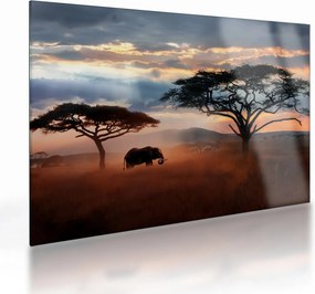 Obraz na szkle - Park Narodowy Serengeti, Tanzania, Afryka (70x50 cm)