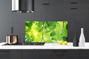 Panel Szklany Botaniczne Liście Paproci