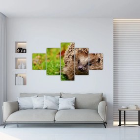 Obraz jeża (125x70 cm)
