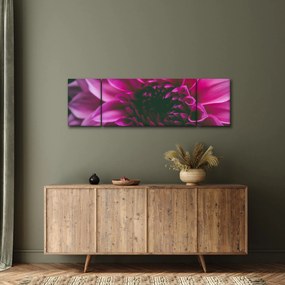 Obraz różowego kwiatu róży (170x50 cm)