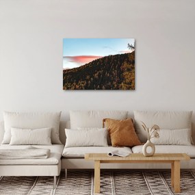 Obraz rudzików nad wzgórzem (70x50 cm)