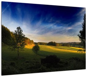 Obraz - Górska łąka (70x50 cm)