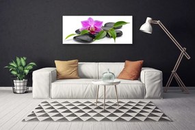 Obraz canvas Orchidea w Nowoczesnym Wydaniu
