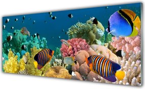 Panel Kuchenny Podwodny Świat Rafy
