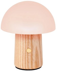 Naturalna lampa stołowa ze ściemniaczem i szklanym kloszem (wys. 13 cm) Alice – Gingko