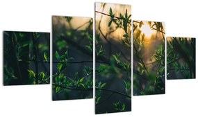 Obraz słońca przeświecającego przez gałęzie drzew (125x70 cm)