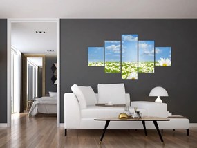 Obraz kwitnącej łąki ze stokrotkami (125x70 cm)