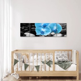Obraz - Niebieska Orchidea (170x50 cm)