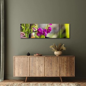 Obraz - spa and stones (170x50 cm)