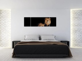 Obraz - Lew i lwica (170x50 cm)