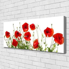 Obraz canvas na ścianę Polne Maki w Rozkwicie