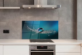 Panel nad Blat Kuchenny Dmuchawiec w Makrofotografii