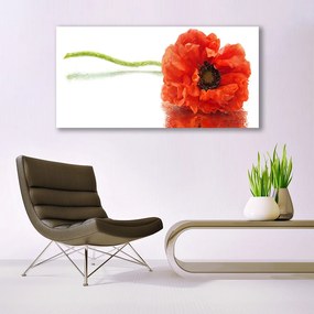 Obraz canvas Naturalny Bukiet Botaniczny