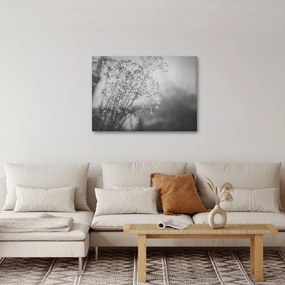Obraz - Łąka po deszczu (70x50 cm)
