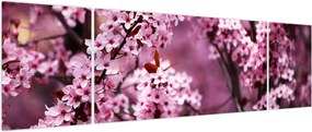 Obraz - Różowa sakura (170x50 cm)