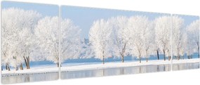 Obraz zimowego krajobrazu (170x50 cm)