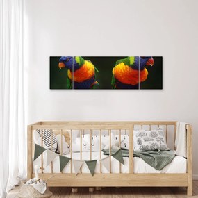 Obraz papug (170x50 cm)