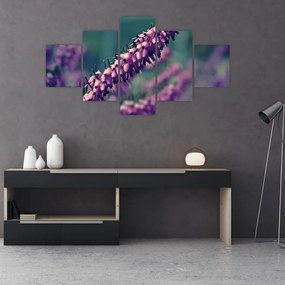 Obraz lawendy (125x70 cm)