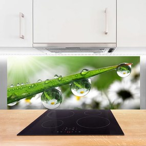 Szkło do Kuchni na Ścianę Poranna Rosa na Trawie