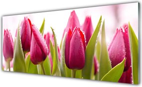 Szkło Dekoracyjne do Kuchni Wiosenne Pole Tulipanów