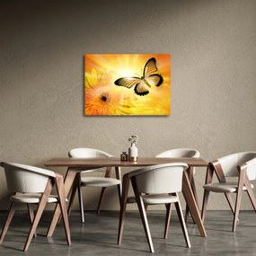 Obraz - Żółty motyl z kwiatkiem (70x50 cm)
