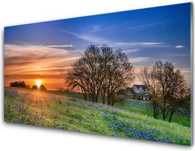 Panel Szklany Słoneczna Polana o Poranku