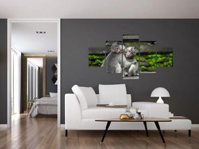 Obraz - małpki (125x70 cm)