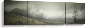 Obraz krajobrazu przed burzą (170x50 cm)