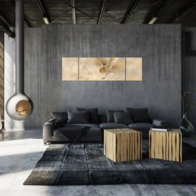 Obraz - Sowa (170x50 cm)