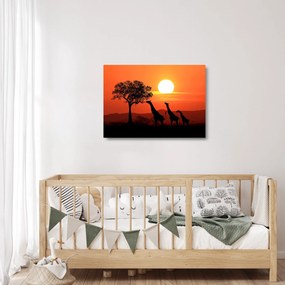 Obraz na szkle żyraf o zachodzie słońca (70x50 cm)