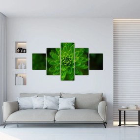 Obraz drzewa iglastego (125x70 cm)