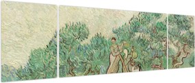 Obraz - Vincent van Gogh, The Olive Orchard, reprodukcje (170x50 cm)