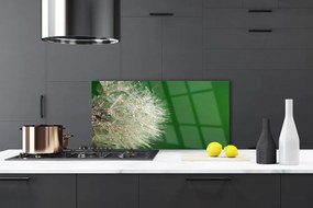 Szkło do Kuchni na Ścianę Puszysty Mniszek Lekarski