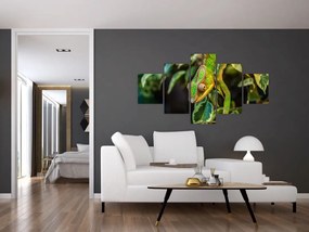 Obraz kameleona (125x70 cm)