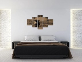 Obraz - Krowa z Teksasu (125x70 cm)