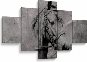 Obraz - Portret konia (125x70 cm)