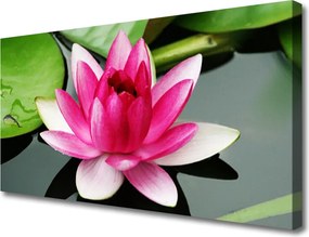 Obraz canvas Subtelna Natura w Kwiatach