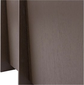 Ciemnobrązowa szafka pod TV w dekorze jesionu 102x53x44 cm Brock – WOOOD