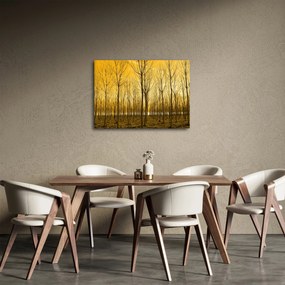 Obraz - Plantacja drzew (70x50 cm)