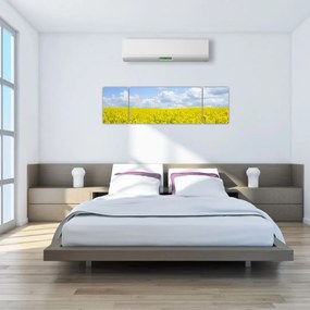 Obraz żółtego pola (170x50 cm)