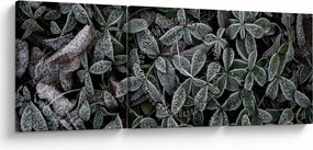 Obraz - Zamrożone rośliny (z zegarem) (90x30 cm)