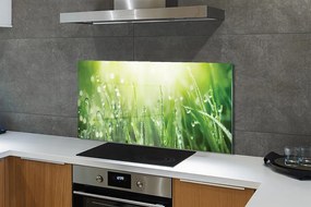 Szklany Panel Krople Rosy w Słońcu