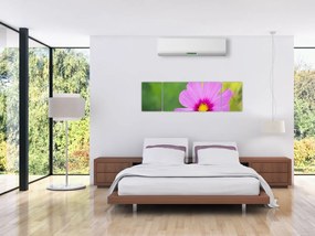 Obraz - polny kwiat (170x50 cm)