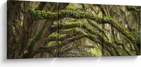 Obraz - Oaks Avenue, Charleston, Karolina Południowa, USA (z zegarem) (90x30 cm)