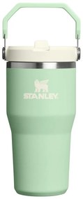 Szałwiowy termos ze stali nierdzewnej 600 ml IceFlow™ Flip Straw 2.0 Tumbler Pistachio – Stanley
