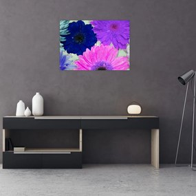 Obraz kolorowych kwiatów (70x50 cm)