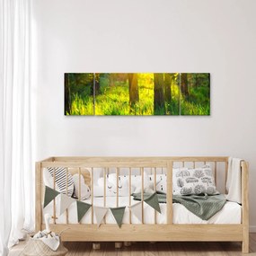 Obraz - Wiosenne przebudzenie lasu (170x50 cm)