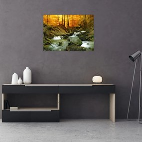 Obraz - Las (70x50 cm)